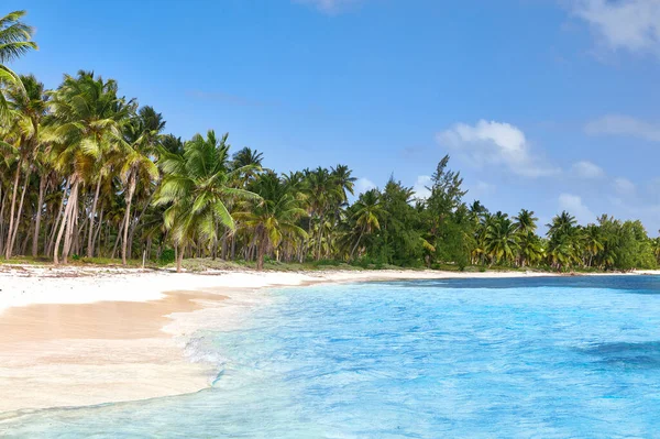 Tropický Ostrov Opuštěný Ostrov Čistý Bílý Písek Pohled Pláž Vody — Stock fotografie