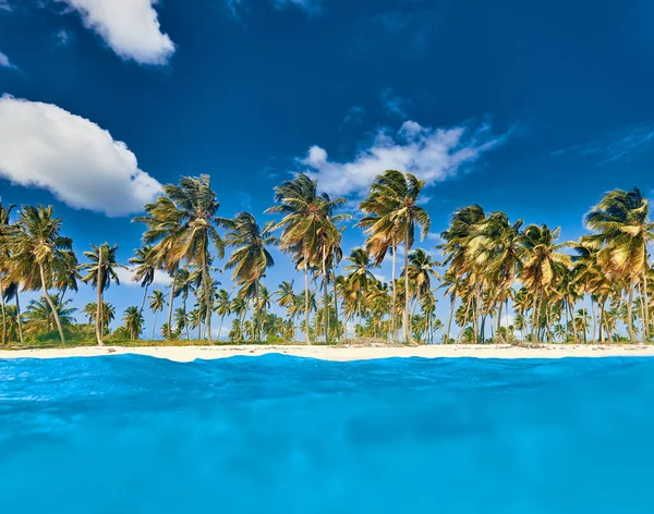 Tropikal Ada Deniz Manzaralı Sahile — Stok fotoğraf