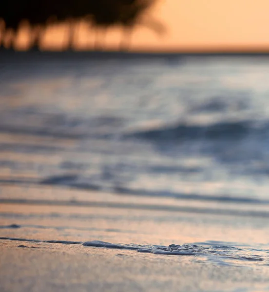 Піщаному Пляжі Задньому Плані Хвилі Піщаному Пляжі Піна Прибій Хвилі — стокове фото