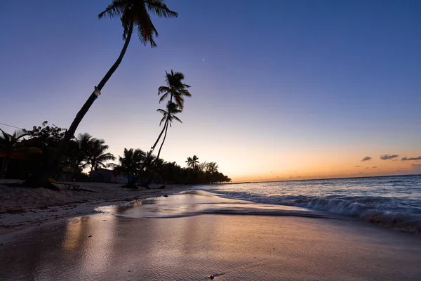 Tramonto Sulla Spiaggia Spiaggia Paradisiaca Paradiso Tropicale Sabbia Bianca Spiaggia — Foto Stock