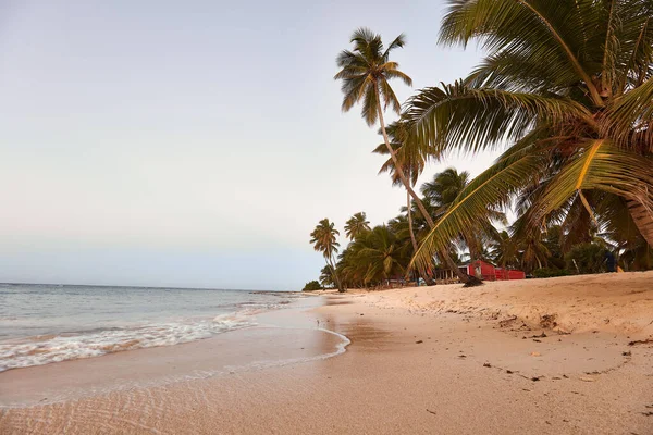 Spiaggia Paradisiaca Paradiso Tropicale Sabbia Bianca Spiaggia Palme Acqua Limpida — Foto Stock