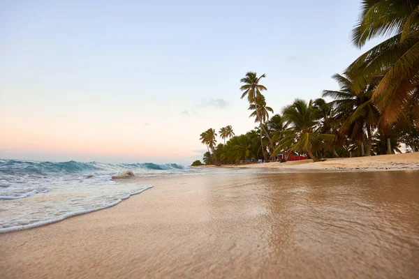 Spiaggia Paradisiaca Paradiso Tropicale Sabbia Bianca Spiaggia Palme Acqua Limpida — Foto Stock