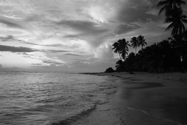 Sonnenuntergang Strand Paradiesischer Strand Tropisches Paradies Weißer Sand Strand Palmen — Stockfoto