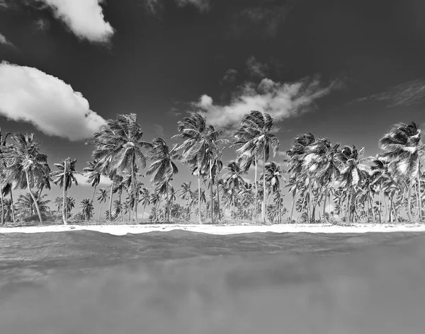 Trópusi Sziget Kilátás Strandra Vízről — Stock Fotó