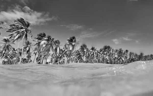 热带岛屿 从水面俯瞰海滩 — 图库照片