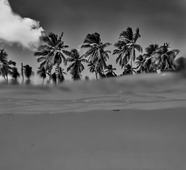 Tropikal Ada Deniz Manzaralı Sahile — Stok fotoğraf
