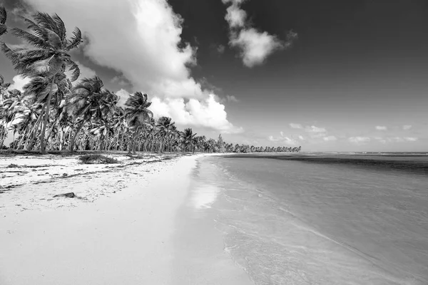 Tropische Insel Blick Auf Den Strand — Stockfoto