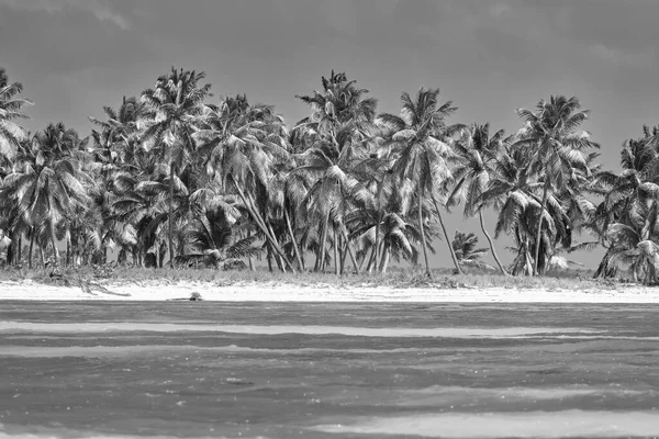 Tropische Insel Blick Auf Den Strand Vom Wasser Aus — Stockfoto