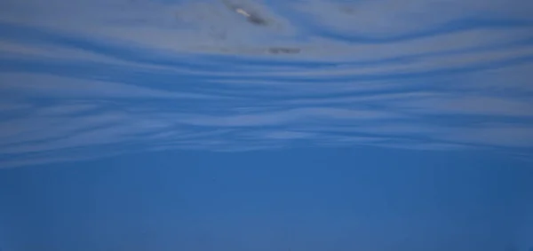 Mundo Subaquático Oceano Tropical Transparente Superfície Ainda Calma Água Mar — Fotografia de Stock