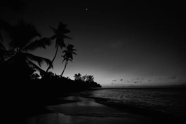 Закат Пляже Райский Пляж Тропический Рай — стоковое фото