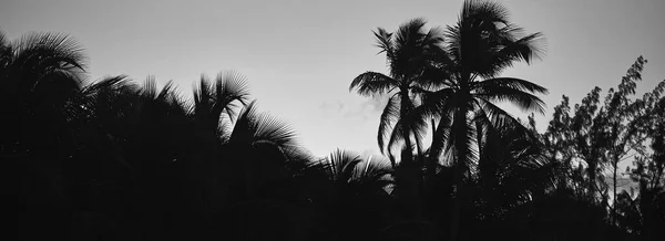 Панорамный Вид Закат Закат Пляже Райский Пляж Тропический Рай — стоковое фото
