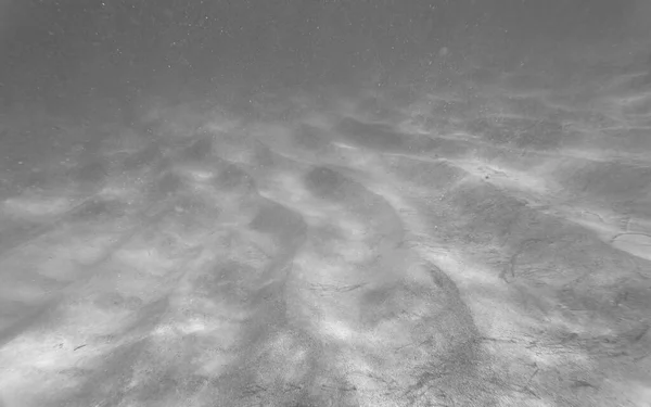 Underwater World Tropical Transparent Ocean Still Calm Sea Water Surface — Stock Photo, Image