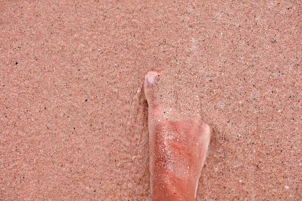 Ocean Foam Washes Tourist Feet Wave Sandy Beach Background Splash — Stock Photo, Image