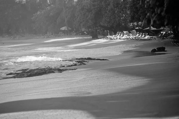 Zamávej Sandy Beach Pozadí Šplouchání Vln Písečné Pláži Pěna Surfování — Stock fotografie