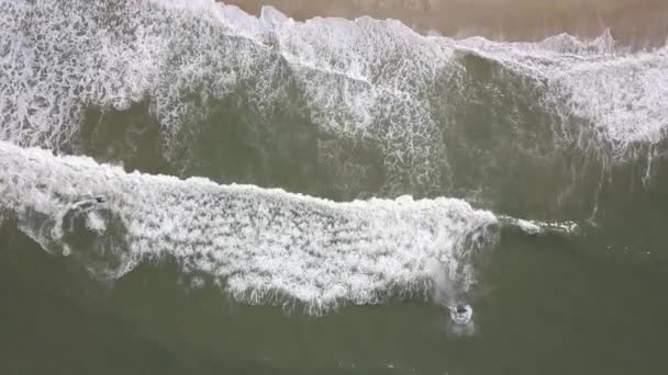 Kumlu Bir Sahilde Uçuyor Atlantik Kıyısında Kumlu Bir Sahilde Dalgalar — Stok video