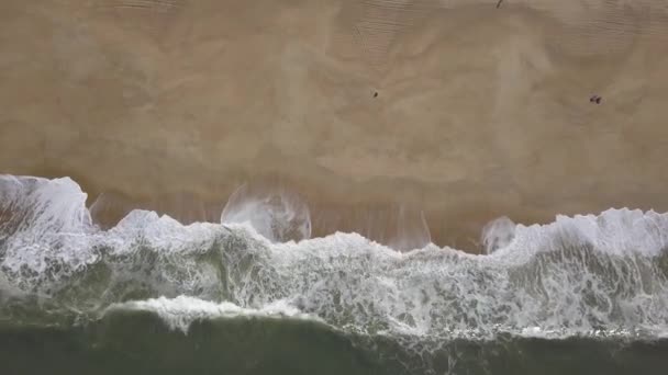 Latanie Nad Piaszczystą Plażą Fale Przerwa Piaszczystej Plaży Wybrzeżu Atlantyku — Wideo stockowe