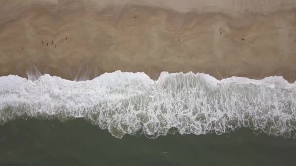 모래사장 있어요 대서양 연안의 모래사장에서는 파도가 부서지고 공중에서는 광경을 수있습니다 — 비디오