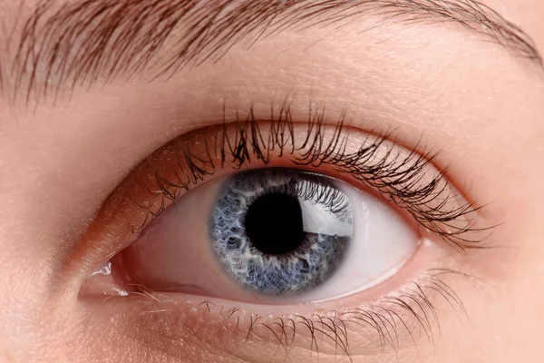 Acercamiento ojo azul — Foto de Stock