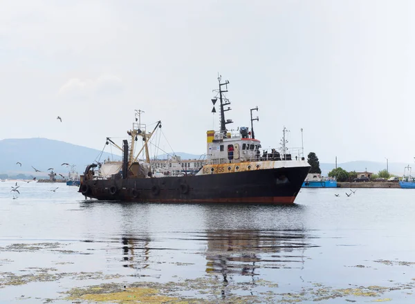 Bulgaristan 'ın Sozopol limanında bir gemi. Güneşli bir yaz günü, martılar uçuyor, gökyüzü resim gibi..