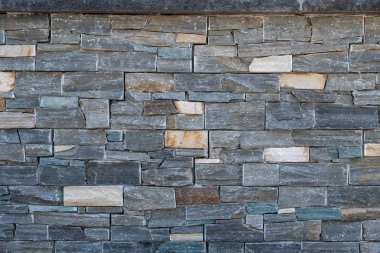 arkaplan olarak gri bir duvar