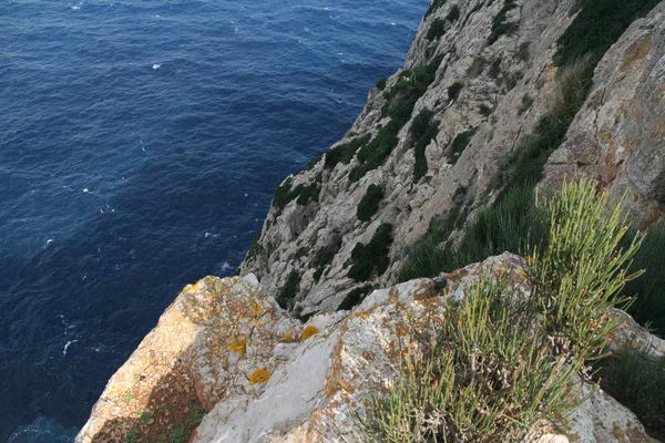 Stenige Kust Van Mallorca Middellandse Zee — Stockfoto