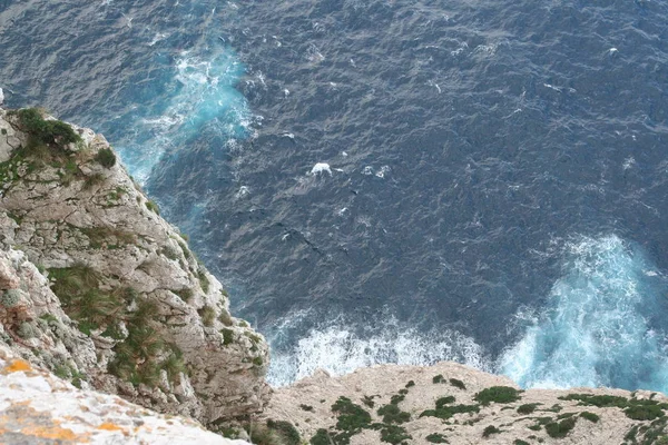 Stony Coast Mallorca Mediterranean Sea — Stock Photo, Image