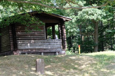 Thuringia 'daki Friedrichroda Ormanı, güneşli. Almanya, odun.