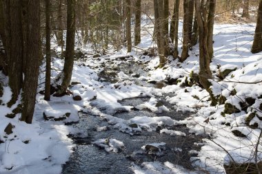 Karlı ormanda küçük bir nehir soğuk bir kış ve karlı ağaçlarla