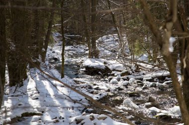 Karlı ormanda küçük bir nehir soğuk bir kış ve karlı ağaçlarla