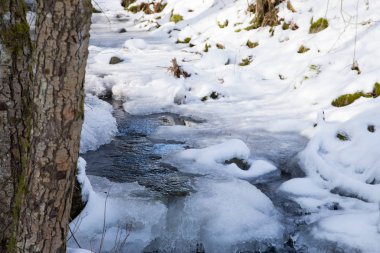 Karlı ormanda küçük bir nehir soğuk bir kış ve karlı ağaçlarla