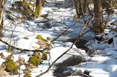 Karlı ormanda küçük bir nehir soğuk bir kış ve karlı ağaçlarla
