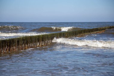 Sonbaharda Leipzig 'deki Karl-Heine-Kanalı manzarası