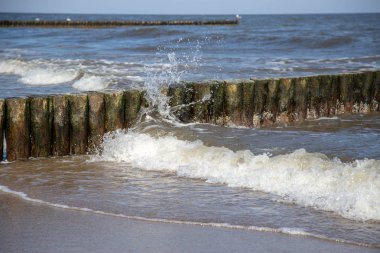 Sonbaharda Leipzig 'deki Karl-Heine-Kanalı manzarası