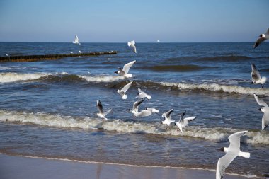 Sonbaharda Leipzig 'deki Karl-Heine-Kanalı manzarası