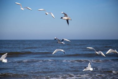 Sonbaharda Leipzig 'deki Karl-Heine-Kanalı manzarası