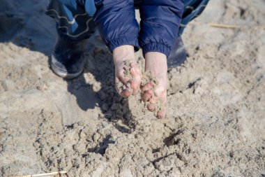 Bir çocuk elleri ile Baltık Denizi 'nin kumsalında oynuyor.