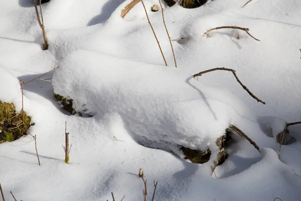 Сніговий Камінь Мохом Взимку Баварії — стокове фото