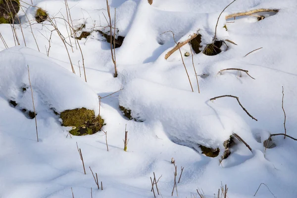Snowy Stone Moss Winter Bavaria — Stock Photo, Image
