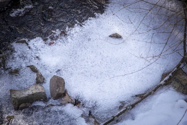 Small River Snowy Forest Cold Winter Snowy Trees — Stock Photo, Image