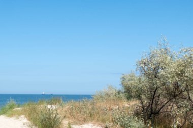 Sonbaharda Leipzig 'deki Karl-Heine-Kanalı manzarası