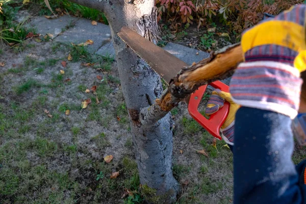 Un niño sierra una rama en el jardín con una sierra de jardín — Foto de Stock