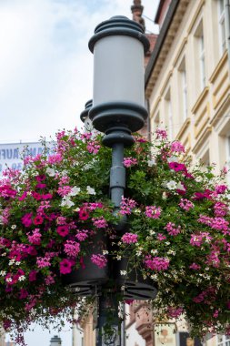 Çiçek sepetli eski bir sokak lambası..