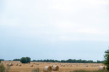 Gün boyunca bir tarlada hasat yaptıktan sonra saman balyalarını yuvarla.