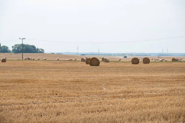 Fardos de palha redondos após a colheita em um campo durante o dia . — Fotografia de Stock