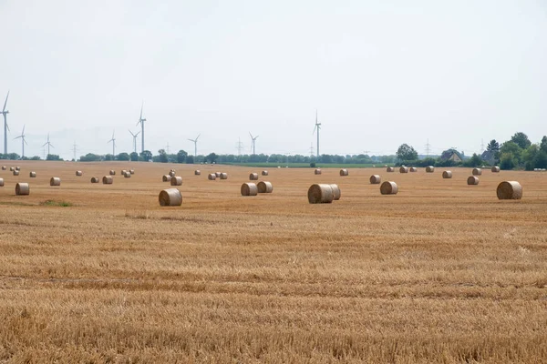 Fardos de palha redondos após a colheita em um campo durante o dia . — Fotografia de Stock