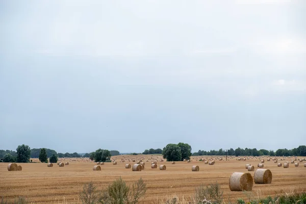 Gün boyunca bir tarlada hasat yaptıktan sonra saman balyalarını yuvarla. — Stok fotoğraf