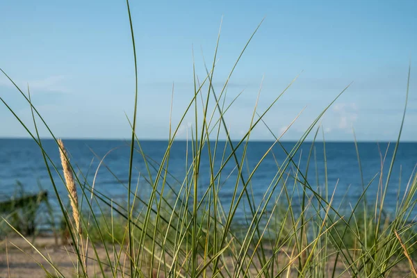 The view of the dunes and the beach of Zempin on the island of U — Stock Photo, Image