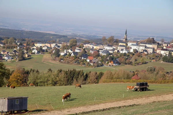 Vogtland 'daki Schoeneck kasabasının manzarası. 