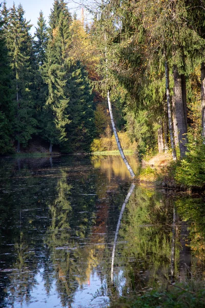 A  lake in a forest in autumn — Stock Photo, Image