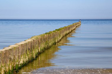 Baltık Denizi 'ndeki Groyne' ler deniz kıyısındaki tatil beldesinde küçük dalgalarla